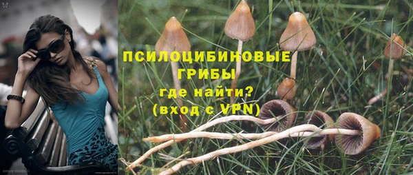 дживик Ростов