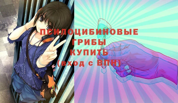 герыч Россошь
