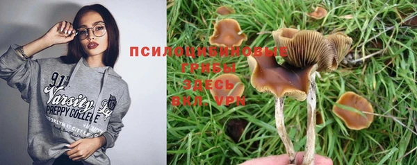 герыч Россошь