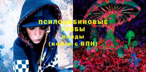 герыч Россошь