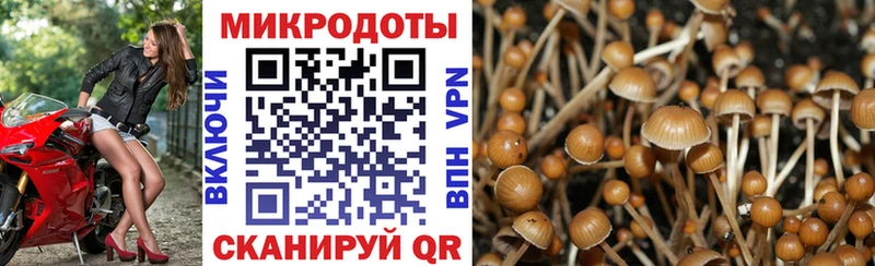 Псилоцибиновые грибы ЛСД  Гагарин 