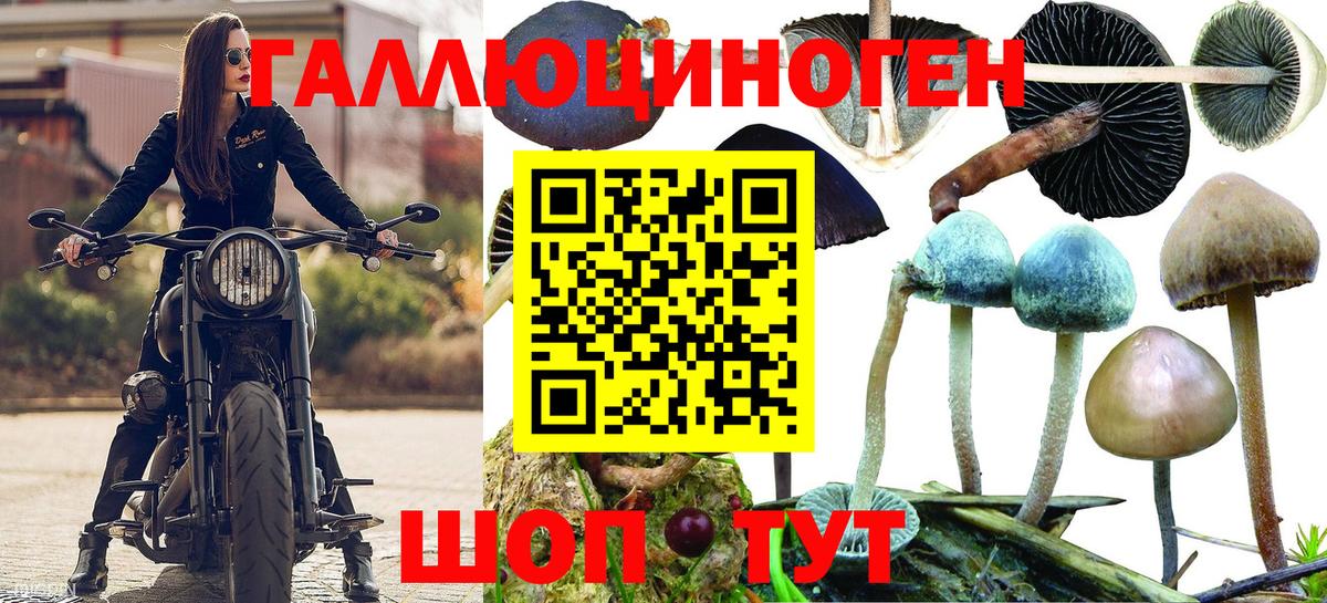 Псилоцибиновые грибы GOLDEN TEACHER Гагарин