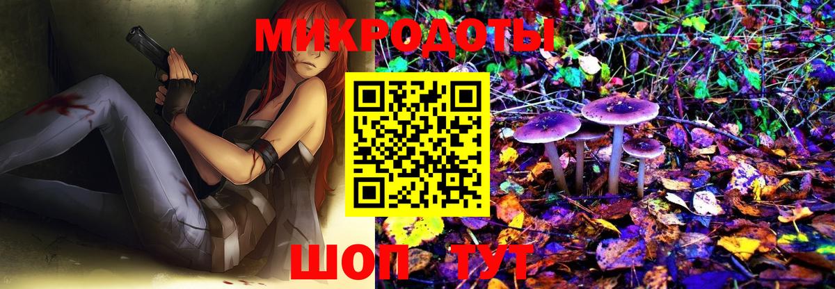 Псилоцибиновые грибы Cubensis  Гагарин 